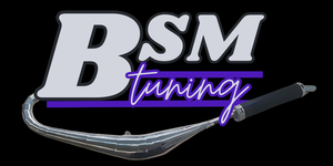 BSM-Tuning Logo